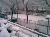 Il parco sotto la nevicata